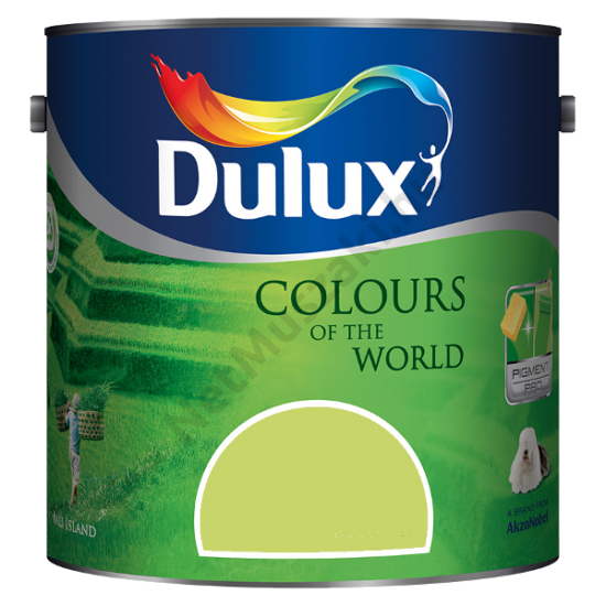 Dulux A Nagyvilág színei Rejtőző Leguán 2,5l